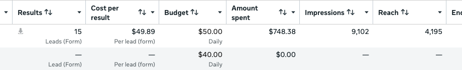 Anonymous Meta Ads Manager snapshot: 15 form leads at $49.89 per lead